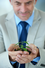 Image showing Plants, business and mature man with startup, finance and growth with accountability and accountant. Person, trader and employee with leaves and soil with sustainability and entrepreneur with nature