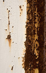 Image showing Rusted Up