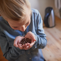 Image showing Woman, hands and smell coffee beans in kitchen or breakfast caffeine in morning or relax, latte or aroma. Female person, palms and preparing or brewing as premium blend or espresso, beverage or drink