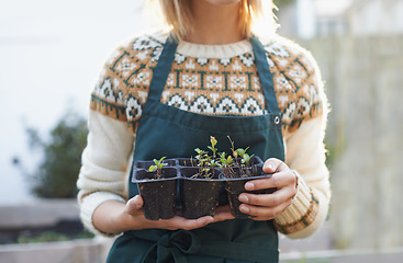 Image showing Gardening, seedling and hands of woman with plants for landscaping, planting flowers and growth. Agriculture, nature and person for outdoor environment, growing vegetables and nursery in backyard