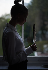 Image showing Woman, feather and window for writer in home, dark room and creative for abstract or artistic pose. Female artist, writing and shadow with thinking, fashion and mysterious editor for literature