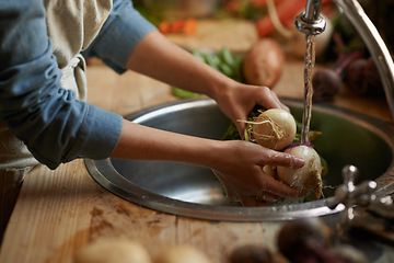 Image showing Hands, sink and water, clean vegetables and cooking food with hygiene and health at home. Turnip, organic for lunch or dinner, washing ingredient and meal prep with chef skill and cuisine in kitchen