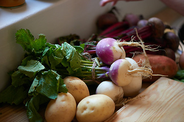 Image showing Root, vegetables and ingredients on kitchen counter for cooking recipe or leafy greens, radish or potato. Wood board, food and diet in apartment for healthy wellness or vegan eating, fibre or meal