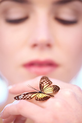 Image showing Beauty, skincare and butterfly on hand of woman closeup in studio for natural wellness or treatment. Skin, nature or sustainability and person with insect for environmental cosmetics or dermatology