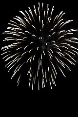 Image showing Fireworks