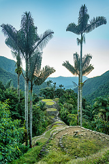 Image showing Ciudad Perdida, ancient ruins in Sierra Nevada mountains. Santa Marta, Colombia wilderness