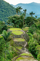 Image showing Ciudad Perdida, ancient ruins in Sierra Nevada mountains. Santa Marta, Colombia wilderness