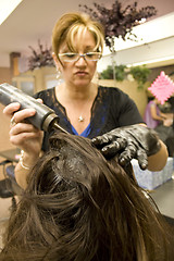 Image showing Hairdresser Applying Color