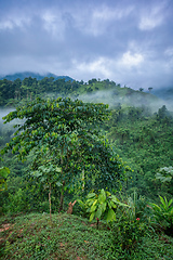 Image showing Landscape of Sierra Nevada mountains, Colombia wilderness landscape.