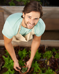Image showing Man, happy and portrait with plant for agriculture, growth and harvest from above. Male gardener, smiling and soil in container for cultivation, weeding or eco friendly horticulture in greenery shop
