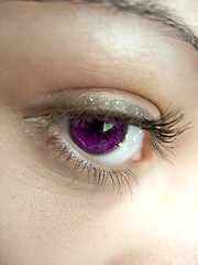 Image showing Pretty Eye Lashes