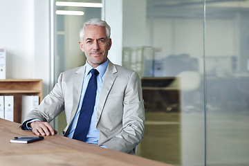 Image showing Senior, businessman and expert for firm, portrait and desk in office for recruitment. CEO, man and plan for workspace, boss and human resources at professional company for startup with suit