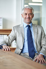 Image showing CEO, businessman and portrait for work, confident and executive of company. Senior, man and professional for startup, boss and accounting at desk in office for corporate, sitting and expert career