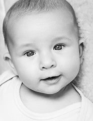 Image showing Adorable newborn portrait