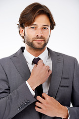 Image showing Businessman, portrait and fashion with tie for style, career ambition or opportunity on a white studio background. Face of handsome man, employee or professional getting ready in suit for business