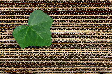 Image showing Green leaf on cardboard background