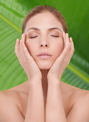 Image showing Woman, skincare and eyes closed with beauty, leaves or sustainability for organic cosmetics. Girl, person or model by palm tree for wellness, touch or glow with dermatology for facial skin by plants