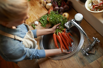 Image showing Hands, carrots and washing in sink for healthy vegetable for wellness ingredient or organic, salad or hygiene. Chef, water and clean in kitchen for meal preparation with recipe, vitamins or above