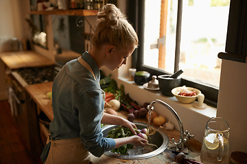 Image showing Woman in kitchen, cleaning vegetables and cooking, hygiene and health for food and nutrition at home. Chef skill, washing produce and catering, vegan or vegetarian meal prep with preparation