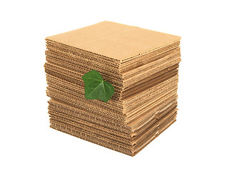 Image showing Green leaf and pile of cardboard