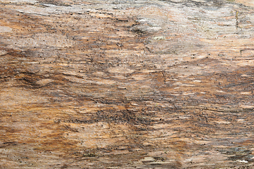 Image showing Close-up view of a weathered wooden surface textures in natural 