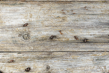 Image showing Weathered wooden planks with rusty nails on an old fence during 