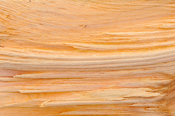Image showing Close up view of wooden surface