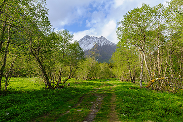 Image showing Serene mountain view along a lush green trail in early spring