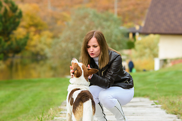 Image showing A young beautiful girl caresses a dog, against the backdrop of a beautiful landscape