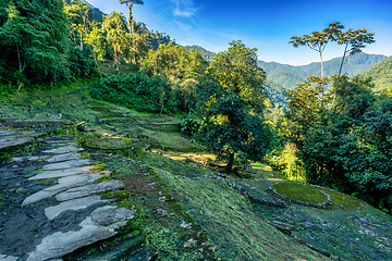 Image showing Ciudad Perdida, ancient ruins in Sierra Nevada mountains. Santa Marta, Colombia wilderness