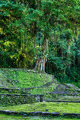 Image showing Ciudad Perdida, ancient ruins in Sierra Nevada mountains. Santa Marta, Colombia wilderness