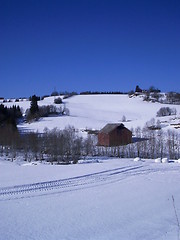 Image showing Winterland