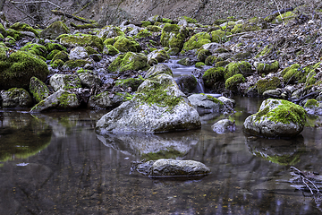 Image showing beautiful mountain river in Apuseni mountains