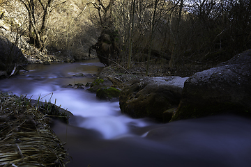 Image showing wild montain stream in Tureni gorges