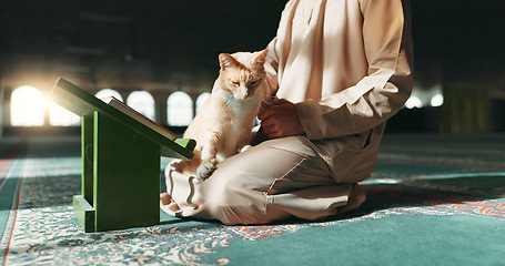 Image showing Muslim, person and cat in a mosque during praying, worship or comfort while reading on the floor. Holy, religion and an Islamic man with a pet or animal during spiritual study, learning or relax