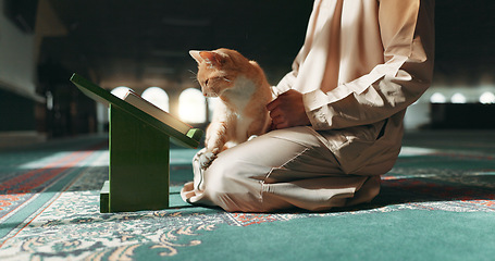 Image showing Muslim, person and cat in a mosque during praying, worship or comfort while reading on the floor. Holy, religion and an Islamic man with a pet or animal during spiritual study, learning or relax