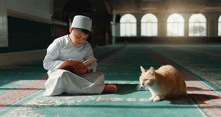 Image showing Quran, islamic and child in a mosque for praying, peace and spiritual care in holy religion for Allah. Reading book, Ramadan or Muslim kid with a cat animal, hope or gratitude to study or worship God
