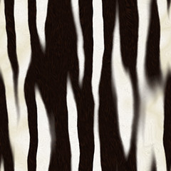 Image showing Zebra Skin Pattern