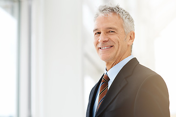 Image showing Businessman, office and smile for portrait, trust and ideas or planning with management. Ceo, suit and workplace for contemplation, career and future with work or company for corporate strategy