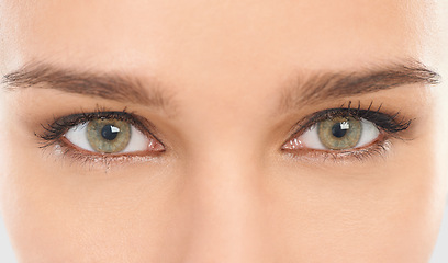 Image showing Eyes, eyebrows and lashes for vision in closeup of woman for eyecare, microblading and contact lenses. Iris, eyeball and retina of female person for healthy sight, optical treatment and watching