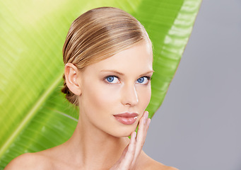 Image showing Woman, palm leaf and skincare in portrait for beauty, glow and routine in studio. Female person, natural and face with confidence for wellness, detox and hydration benefits on gray background