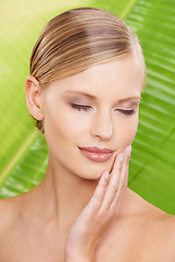 Image showing Palm tree, skincare and woman with cosmetics, dermatology and grooming with luxury and glow. Person, natural treatment and girl with shine or leaf with wellness and soft with healthy skin or clean