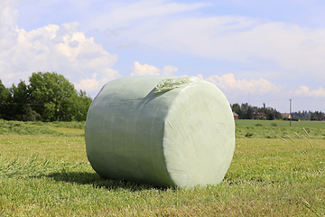 Image showing Silage Bale Wrapped in Green Plastic