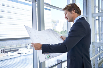 Image showing Blueprint, architecture and business man in office with papers for planning, building project and ideas. Engineering, contractor and person with documents, remodelling and drawing for floor plan