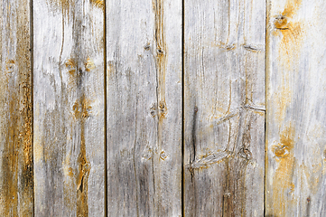 Image showing Vertical wooden planks with weathered texture and visible knots