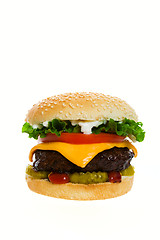 Image showing Beautiful Burger