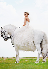 Image showing Wedding, woman and portrait with riding horse or happy for celebration, marriage and confidence in countryside. Bride, person and stallion on lawn in field with smile, dress and animal at ceremony