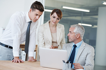 Image showing Business, office and mentor coaching from laptop for corporate finance, conversation and advice for employee. Mature man, workers and computer for meeting, communication and learning for agency