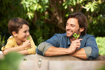 Image showing Father, child and together in garden with leaves, plants and happy environment in backyard. Dad, son and smiling outdoors in nature, gardening and agriculture for sustainability and growth in States