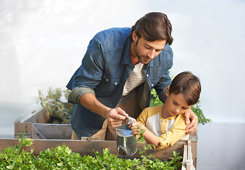 Image showing Parent, kid and water plants in greenhouse for organic vegetables, sustainability and healthy greenery. Father, son and teach to grow greenery, garden and nurture agriculture for environment